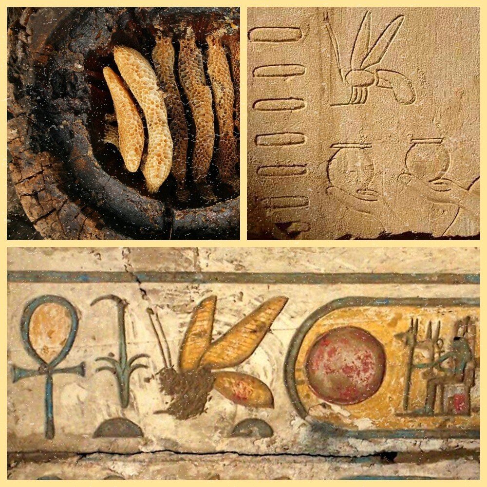 Упоминания о мёде в Древнем Египте: как выглядел мёд в древности