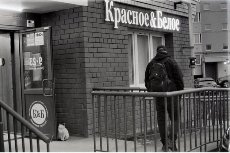 Пример фото на ФЭД.