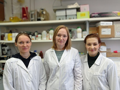 Изображение из свободного доступа в сети интернет.