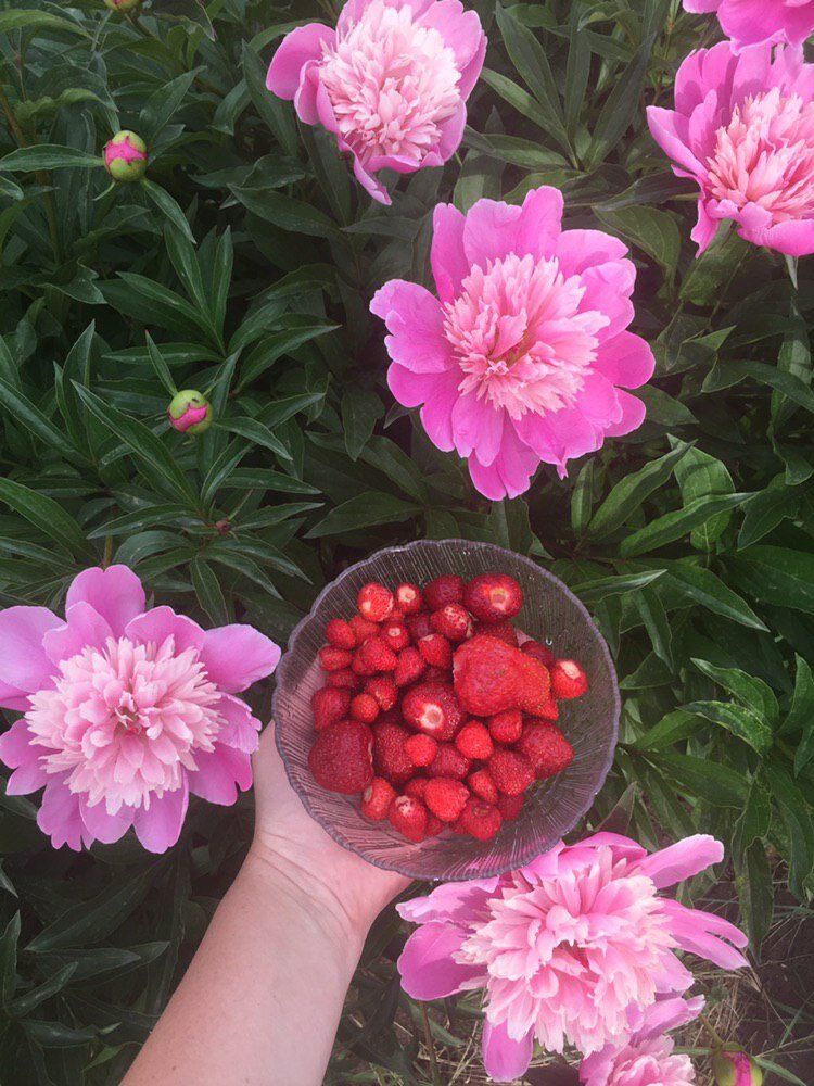 Все, что я люблю на этом фото. Прошлогодние радости