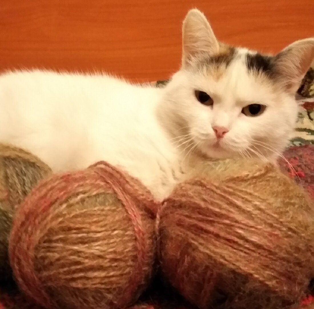 Дуся всегда контролирует процесс. А уж если дело связано с клубками, без ее помощи никак не обойтись.