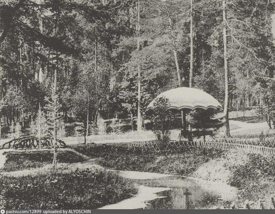 Сокольники. Фотография сделана между 1880 и 1910 гг. Public Domain, Pastvu.com