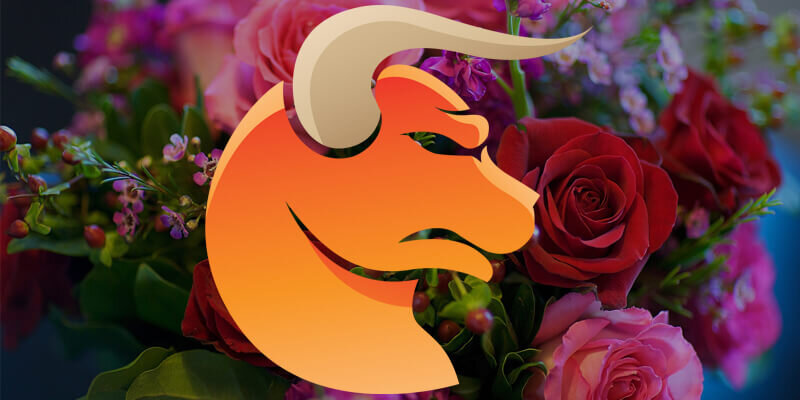 Цветы Тельцов по гороскопу
При выборе букета или покупке комнатного растения Тельцам, нужно учитывать особенности и пристрастия представителей этого знака. Важно знать, какие цветы предпочесть при составлении букета для женщины или мужчины, какое комнатное растение порадует, будет способствовать здоровью, процветанию и успеху. Сделать правильный выбор помогут советы, изложенные в этой статье.Знак зодиака Телец
Стихия Тельца – Земля. А это значит, что красота природы вдохновляет представителей этого зодиакального знака. Это целеустремленные и уверенные в себе люди, они не меняют привычек, упрямы и трудолюбивы.Бык, символ этого знака, характеризуется как сильное и жестокое животное. Но уравновешивает быка Венера, управляющая стихиями Тельца. Она наделила знак чувственностью и романтичностью, привив любовь к красивым вещам, удовольствию и комфорту.
Женщины
Женщины, рожденные под знаком Тельца, известны своей любовью к прекрасным вещам, элегантности и утонченности. Принимая букет, первым делом захотят ощутить аромат цветов, полюбоваться его гармонией.В отличие от мужчин своего знака, им не нужна монументальность. Восхищение вызовет небольшая флористическая композиция, составленная из сезонных растений.Мужчины
Представители сильного пола этого знака известны своим упорством и трудолюбием. Они требовательны к себе и уважают плоды труда других. Особенно, если усилий приложено немало. В то же время они щедры и страстны.Букет для них должен быть строгим и статусным. А если это комнатное растение, то – полезное.Какие цветы подарить Тельцам
Согласно астрологии, лучший выбор - цветы, которые распускаются в период царствования знака. Просыпающаяся весенняя природа радует и вдохновляет истосковавшегося по земле Тельца.С конца апреля до конца мая – период неприхотливых садовых первоцветов. За ними эстафету принимают лилии и розы.Букеты женщине
Зная, что женщине Тельцу не чужды чувственность и изысканность, можно предположить, что сезонные первоцветы в начале весны будут уместными.Аромат сирени вдохновляет представительниц знака на творчество и мечтательность, усмиряет упрямство, улучшает настроение.
Нарциссы и тюльпаны солнечной окраски – это радость жизни, борьба с унынием и депрессией.
Ландыши наполнят сердце любовью. Аромат ландыша смягчит упрямство и усмирит нрав.
Лилии - привнесут романтику, изысканность. Изобилие расцветок, форм, ароматов, мифы и легенды, окутывающие этот цветок, делают его незаменимым в композициях «со смыслом».
Роза – королева сада. Любовь, нежность, невинность, страсть, разлука, преклонение, дружба. Эти цветы могут выразить всю полноту чувств.
Любимые цветы у женщины Тельца
Женщины Тельцы, несмотря на свою основательность, практичность и интуитивное стремление к стабильности, часто охапке роз предпочитают букетик обычных ландышей. Это низкорослое растение соответствует приземленности знака, а его аромат пробуждает чувственность и женственность.Не всем и не всегда нравятся лилии, но многие представительницы Тельцов от них в восторге. Цветы должны быть крупные, яркие. Окраски – желтая, оранжевая, белая.Если собираетесь дарить розы, они должны благоухать свежим ароматом.
Выбираем цветы для женщины Тельца
Женщина Телец, хоть и любит «приземленные» цветы, но в торжественной обстановке, на публике предпочтет статусный букет. На юбилей, день рождения, свадьбу к выбору необходимо подойти особенно тщательно. Букет должен быть со вкусом собран и изысканно оформлен.Весенние праздники диктуют свои правила. Юным леди можно преподнести подснежники. Маме и бабушке – роскошные букеты тюльпанов: желтых, белых, розовых.Подруге – белые розы. Розовые обычно дарят отцы дочерям, братья – сестрам, юноши – девушкам, любимым. Красные розы не подходят Тельцам, этот цвет их возбуждает и вызывает агрессию. Его следует избегать.Букеты мужчине
Мужчин Тельцов трудно порадовать экзотическими новинками и неожиданными сюрпризами, их не волнует изысканность форм и ароматов. Они по достоинству оценят давно известные и знакомые им вещи. Это касается и цветов, которые дарят мужчинам в особых случаях.Для представителей этого знака подходят моно-композиции строгих форм.
Любимые цветы у мужчины Тельца
Хоть мужчины Тельцы и непритязательны к выбору цветов, все же у них есть свои предпочтения.Истинно мужскими считаются гладиолусы, нарциссы и гвоздики. Они активируют галантность, усмиряют упрямство и самолюбие.
Хризантемы, символ стойкости и богатства, выглядят презентабельно, долго стоят в срезке.
Красные розы уместно дарить Тельцам почтенного возраста. Они разбудят огонь жизни, страсть, придадут сил и энергии.
Выбираем цветы для мужчины Тельца
Без повода цветы мужчинам не дарят. Но в юбилей, празднование значимых дат без букета не обойтись. При выборе важно учитывать не только повод, но и степень родства, личные интересы человека.В особо торжественных случаях Тельцам мужчинам преподносят статусные моно букеты из гербер, хризантем, гладиолусов, роз. Родным и близким дарят нарциссы, ирисы, пионы. Гвоздики считаются официальными цветами для военных и мужских праздников. Их дарят незнакомым и малознакомым людям – ветеранам, приглашенным официальным лицам.Комнатные цветы и растения для Тельцов
Телец является первым земным знаком Зодиака, и управляет им прекрасная Венера. Поэтому Тельцу подходят низкорослые, крепкие, декоративно-цветущие растения, привлекающие в дом стабильность и достаток. Для женщин:цикламен;
глоксиния;
сенполия;
бегония;
примула;
каланхоэ;
пеперомия.
Для мужчин с этим знаком зодиака подходят кактусы, различные пальмы, папоротники.Цветы талисманы для Тельцов
Тельцы очень трудоспособны и порой неэкономно расходуют свои силы. Поддержать энергетику им помогут цветы-талисманы. Хорошо, когда дома в горшке растет каланхоэ. Этот цветок подпитывает Тельцов энергией, гармонизирует эмоциональную сферу. Подходит как женщинам, так и мужчинам.Узумбарская фиалка просто необходима на подоконнике женщинам Тельцам. Она напомнит своей хозяйке о том, что нужно находить в жизни время передохнуть и сбавить обороты. Сенполия пробуждает в сильной женщине чувственность и нежность, снимает стресс и усталость.
Цветы в жизни Тельцов способны гармонизировать их внутренний мир, привнести положительные изменения. Растения-талисманы помогут сильным и выносливым, трудолюбивым представителям этого знака обрести финансовую стабильность и при этом сохранить здоровье.