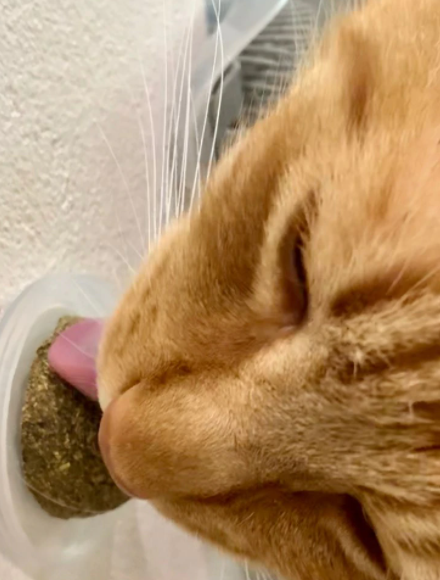 Вот такой вот кадр получился