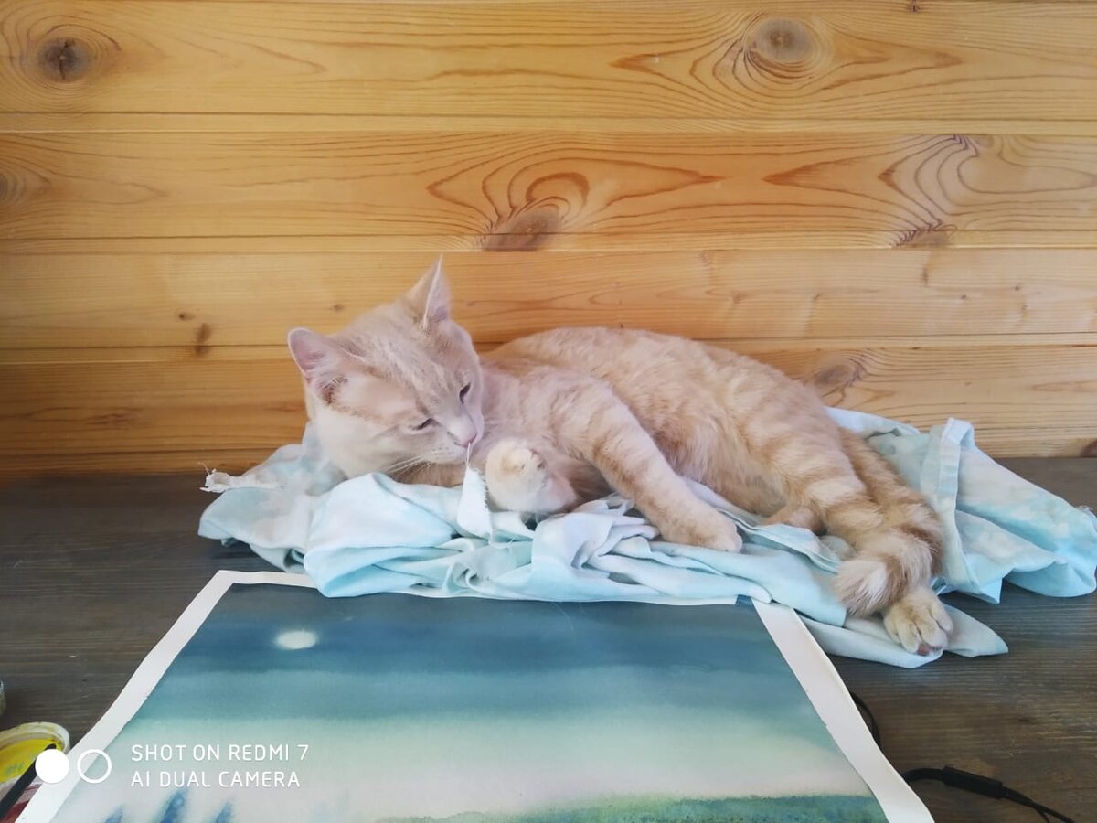 Наш Котофей