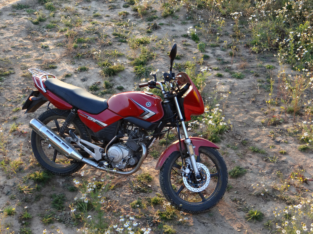 В лучах солнца