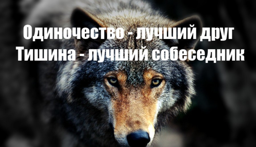 Картинка в чате тишина