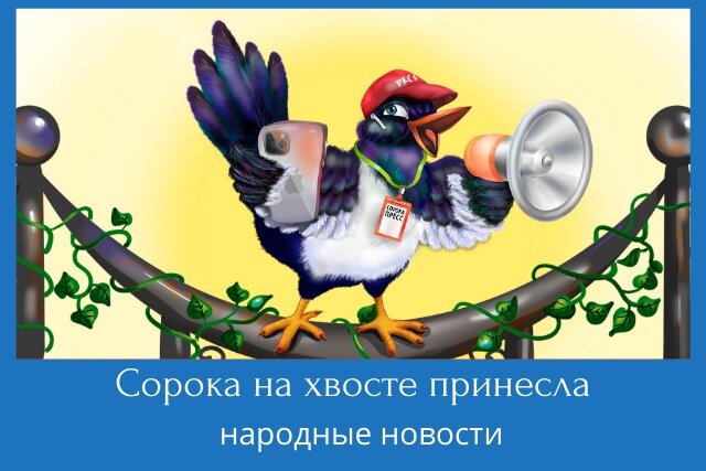 Сорока на хвосте принесла ютуб канал блоггер. Сорока на хвосте принесла. Сорока на хвосте принесла фразеологизм. Птичка на хвосте принесла. Сорока новости на хвосте принесла.
