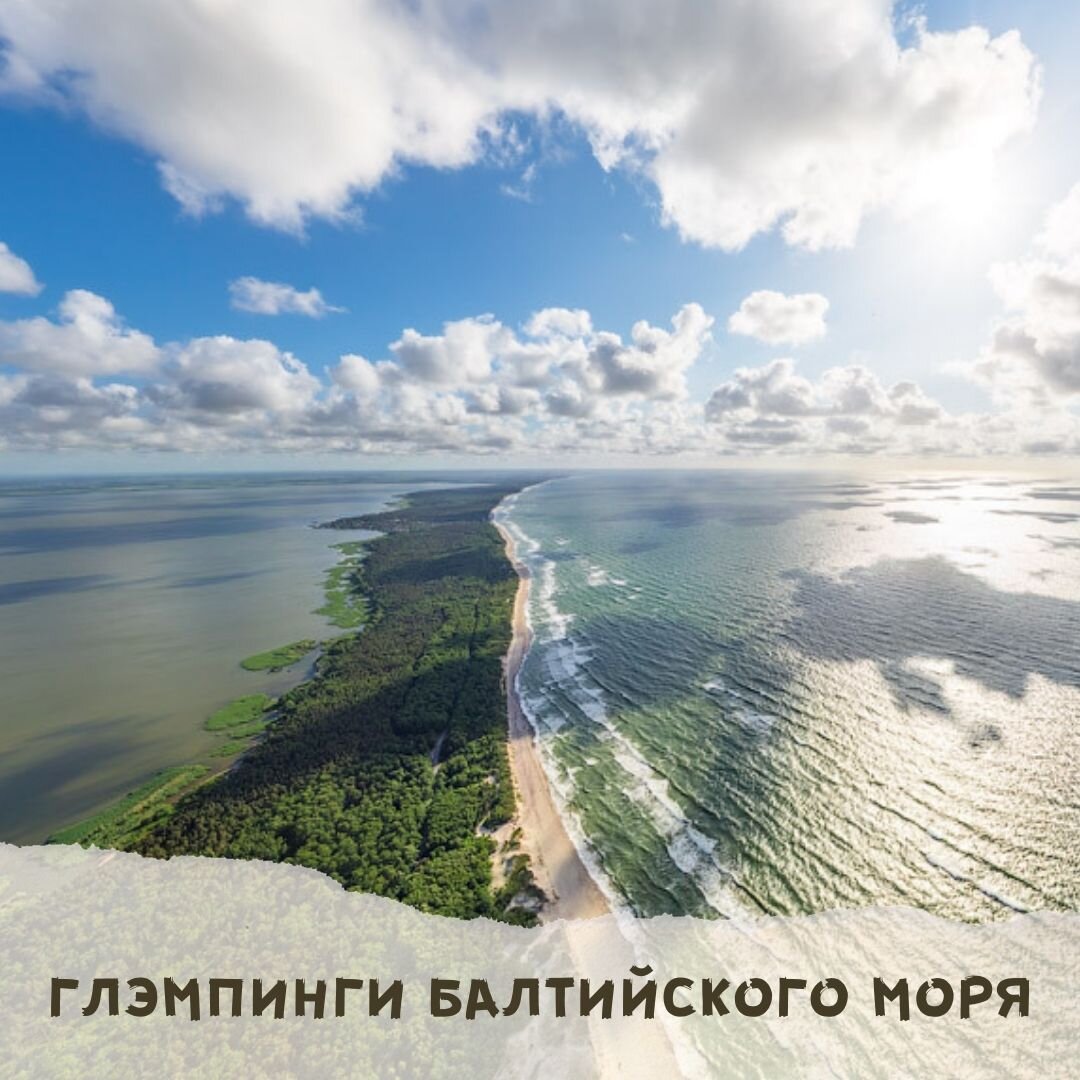 Куршская коса