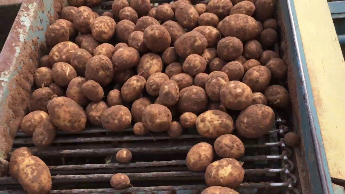 Источник https://i.ytimg.com.