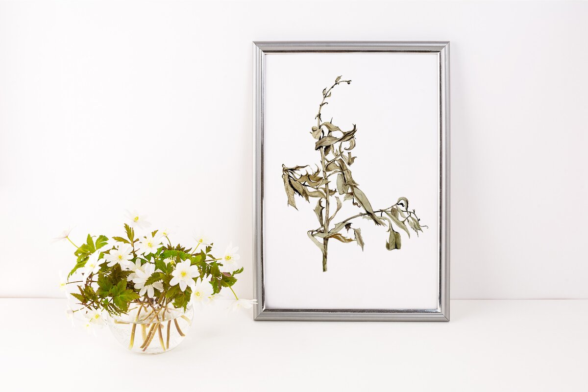 Сухие травы. Акварель. Все эти работы рисовала я примерно два года назад. Все принты можно купить. Цена 70-100 рублей за файл. Файл пришлю на почту если вас что-то заинтересует. Есть и электронный магазин. Можно купить там. Адрес внизу статьи.