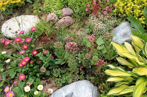 Альпийская горка