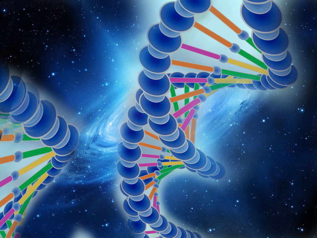 Изображение взято в свободном доступе в интернете.