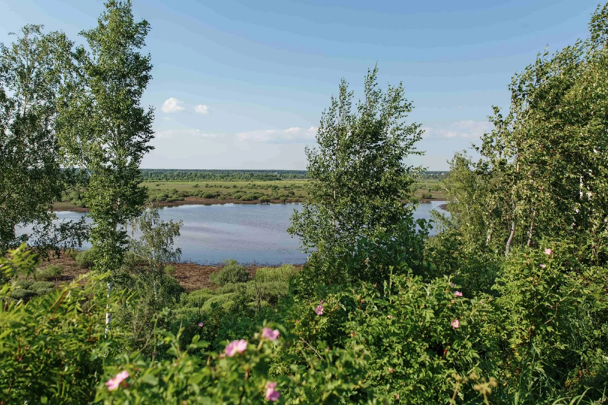 Участки у реки или рядом с лесом, будьте уверены - мы найдём вариант по вашему запросу!