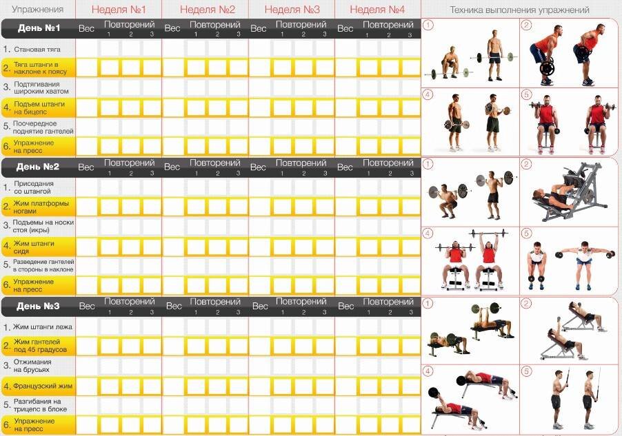 дневник тренировок