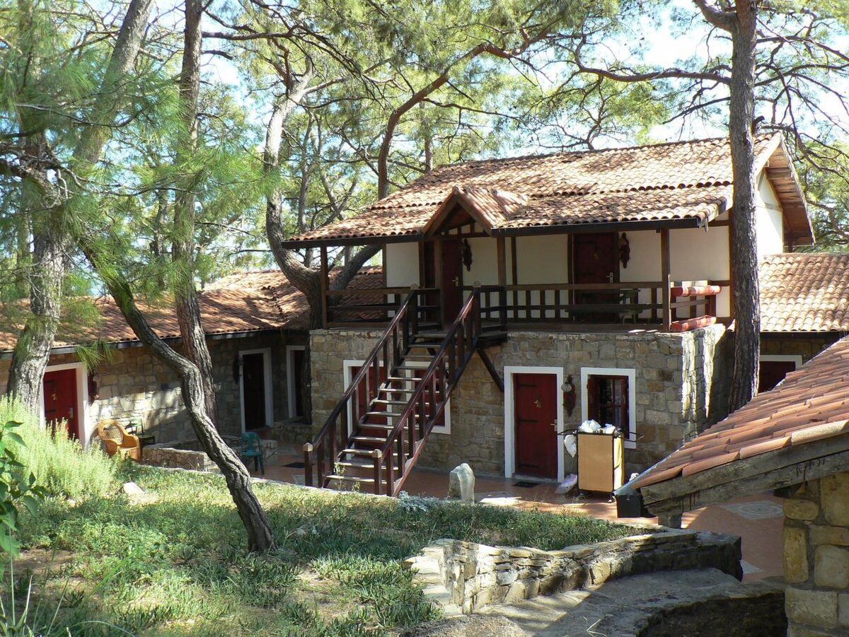 Источник фото: https://static.tonkosti.ru/tonkosti/table_img/g142/e0e0/57286000.jpg