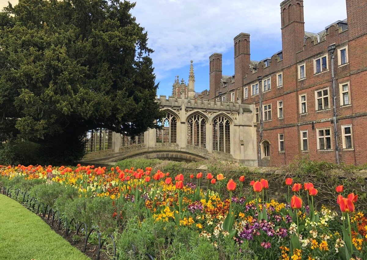 Cambridge university фото