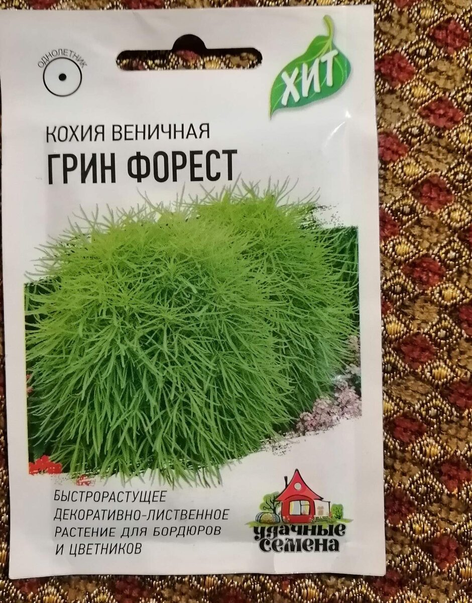       вот эти семена купила. посажу вдоль забора.