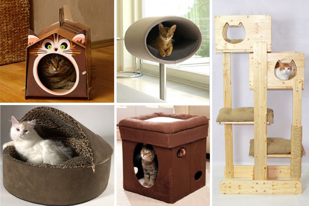 Все кошатники знают: как только оставишь без присмотра коробку или чемодан, туда сразу залезет кот. Дело в том, что звери любят защищенные пространства, поэтому минимум одно спальное место для вашего питомца должно быть закрытым, похожим на домик.