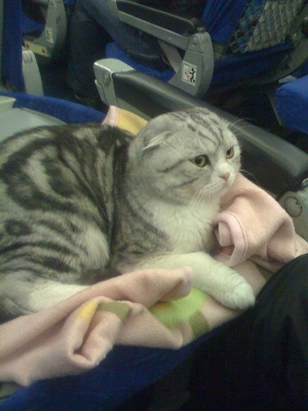 Моя Бусинка