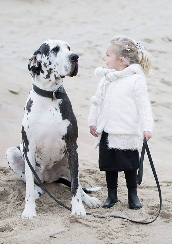 Из свободного источника 

