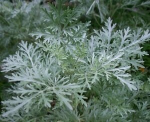 Источник - bud-zdorow.ru