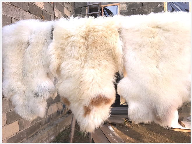 Белоснежная шкура