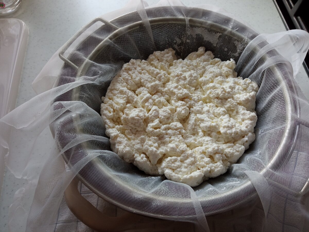 Жена сделала из молока вкуснейший Адыгейский сыр. Сколько получилось, выгодно ли для бизнеса? Считаем и размышляем4