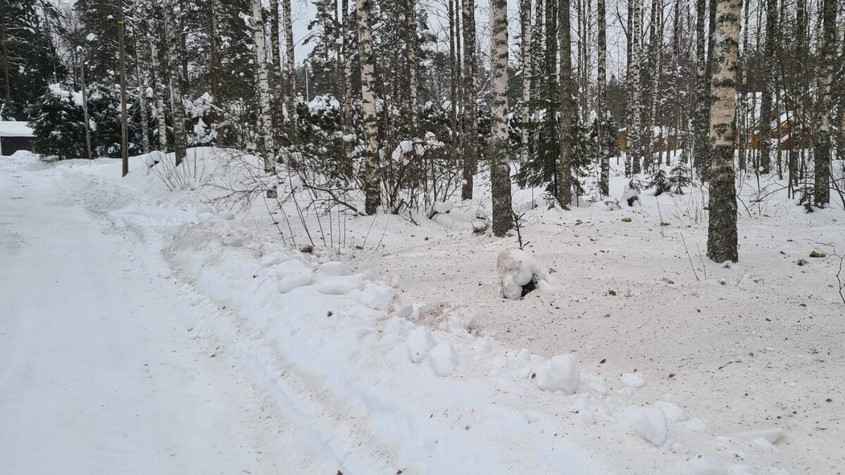 Пожелтевший снег в Тейско 23 февраля. Фото читателя Aamulehti