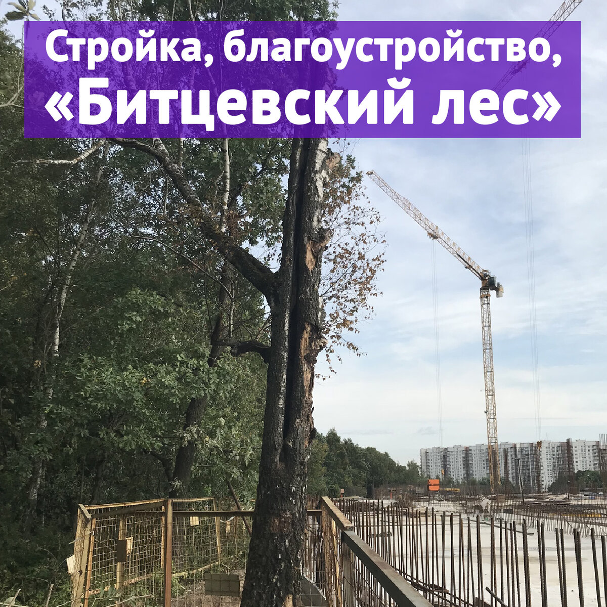 Строительство ЖК «Лес» на Новоясеневском проспекте, вл. 3