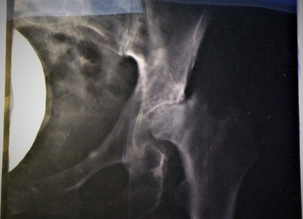 Фото без вспышки.