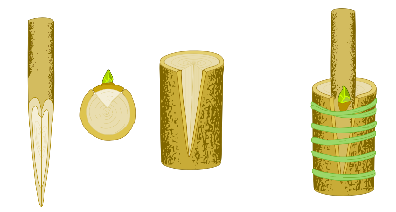 Очень понятная иллюстрация с сайта https://www.wexthuset.com. Свободный доступ.