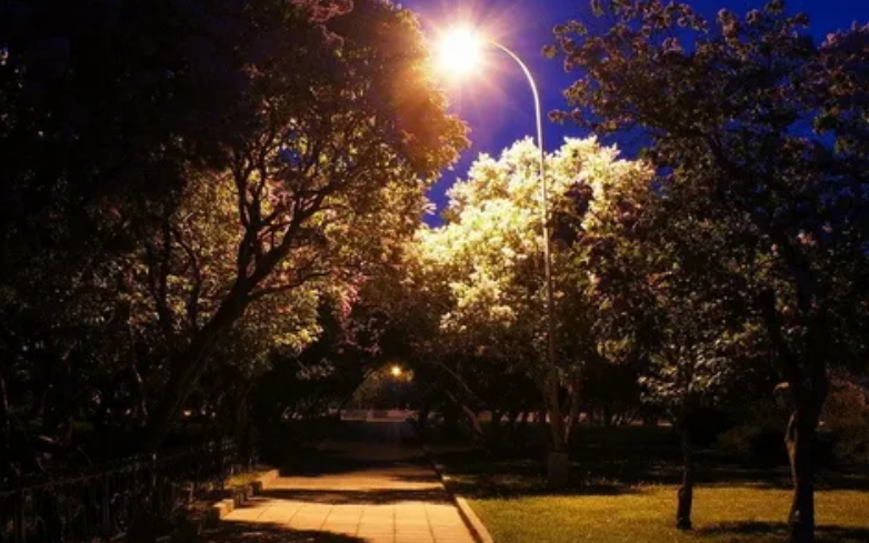 Картинка из сети интернет для иллюстрации