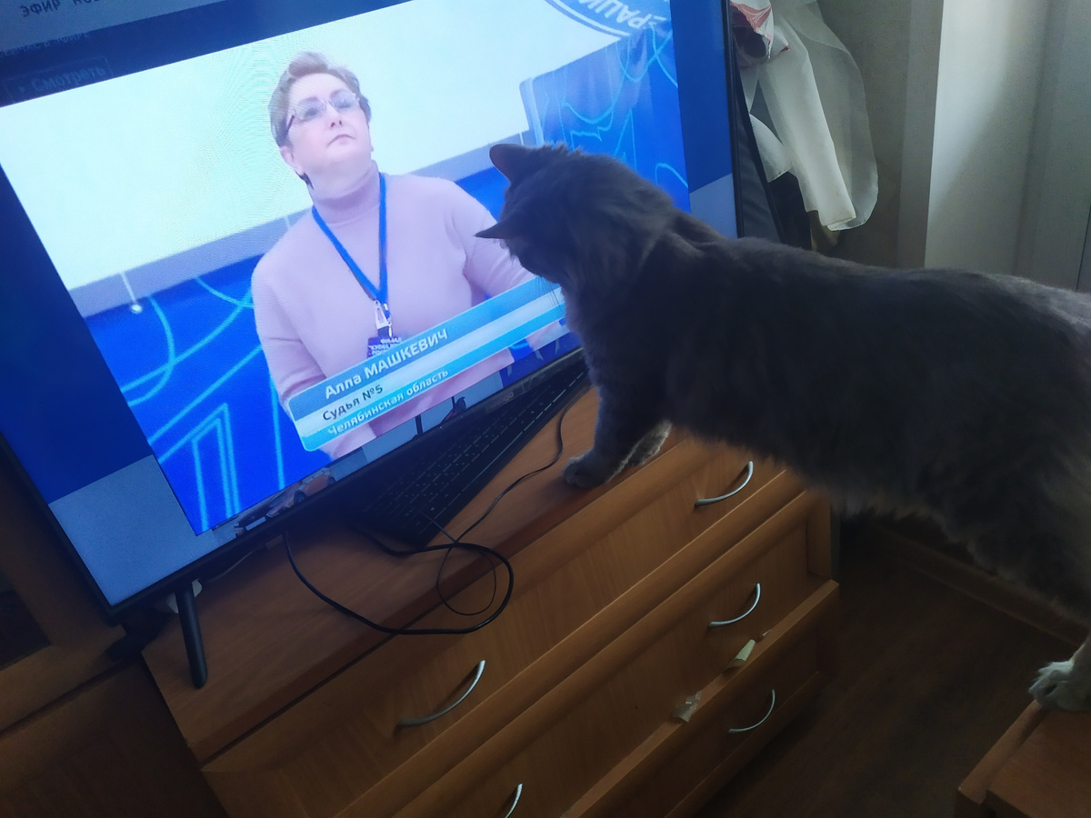 Внимательно изучает: а судьи кто?