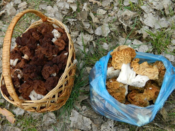 Фото Черпаковой Ирины Викторовны