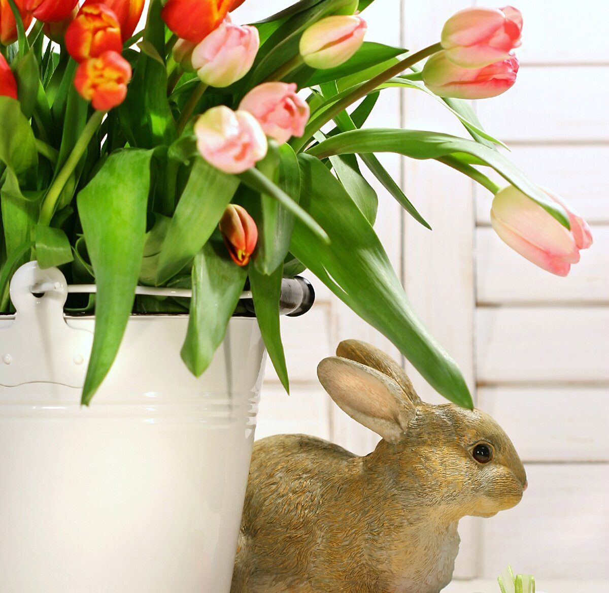 Астролог Оксана Мигно