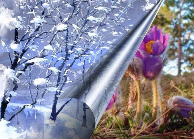 Яндекс-картинки