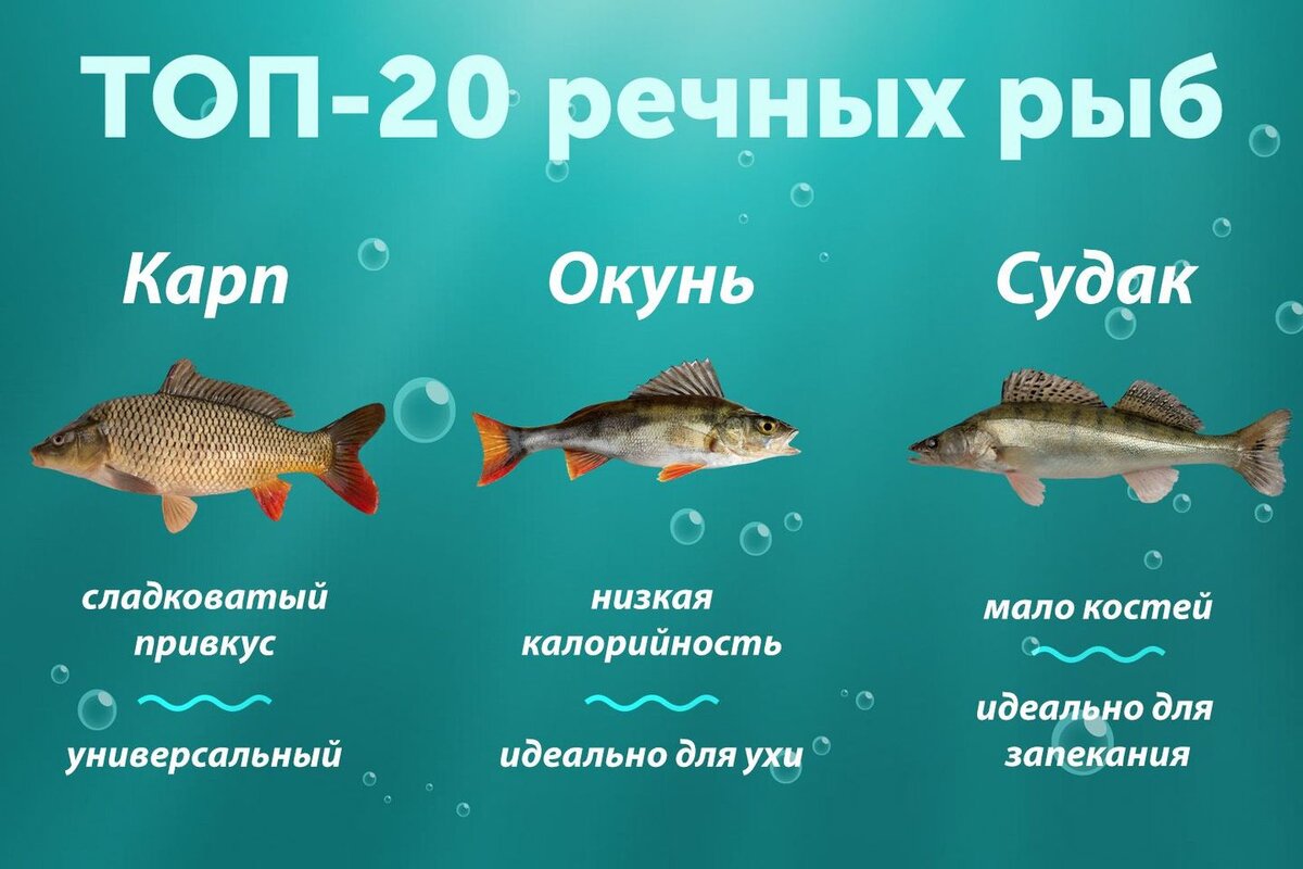 Источник: www.depositphotos.com 