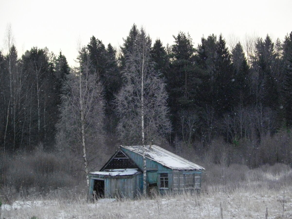 Фото: Павел Пашков