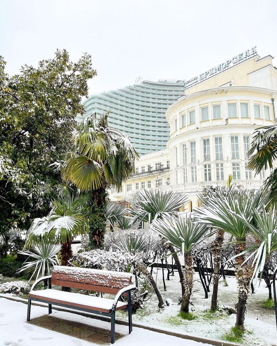 Центр Сочи в редком снеге (фото из инстаграм @dyninadaria)