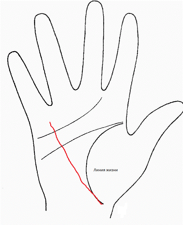 Линия жизни начинается с одной точки с линией жизни