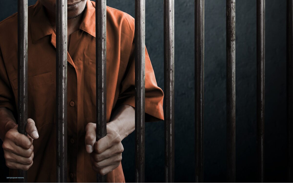 Любое хищение должно быть наказано. "Вор должен сидеть в тюрьме".