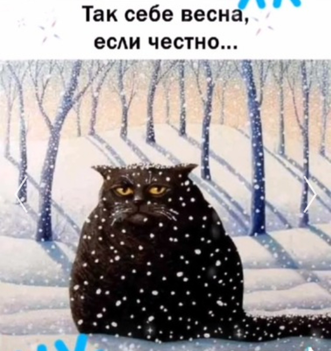 Картинка из открытых источников