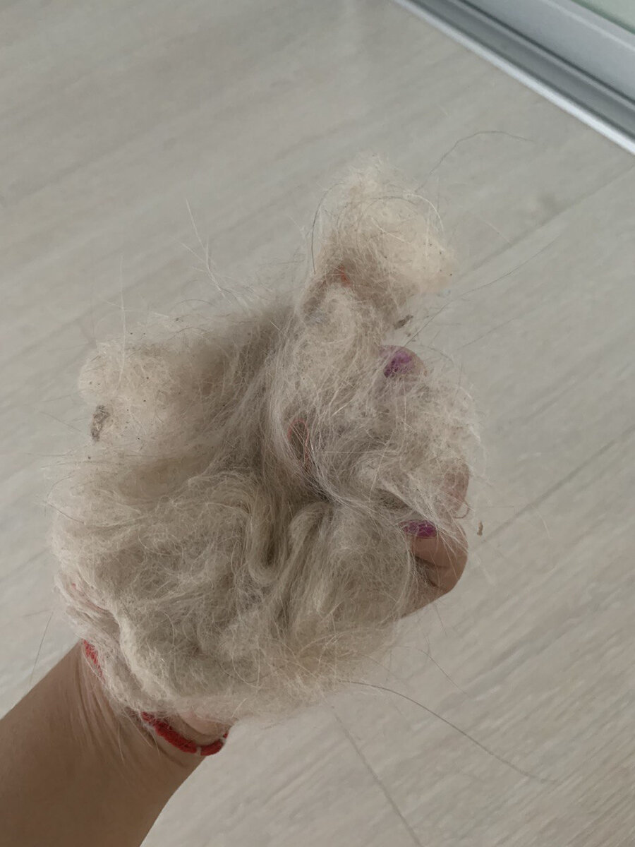 Целый комок  после всех манипуляций с шёрсткой котиков!