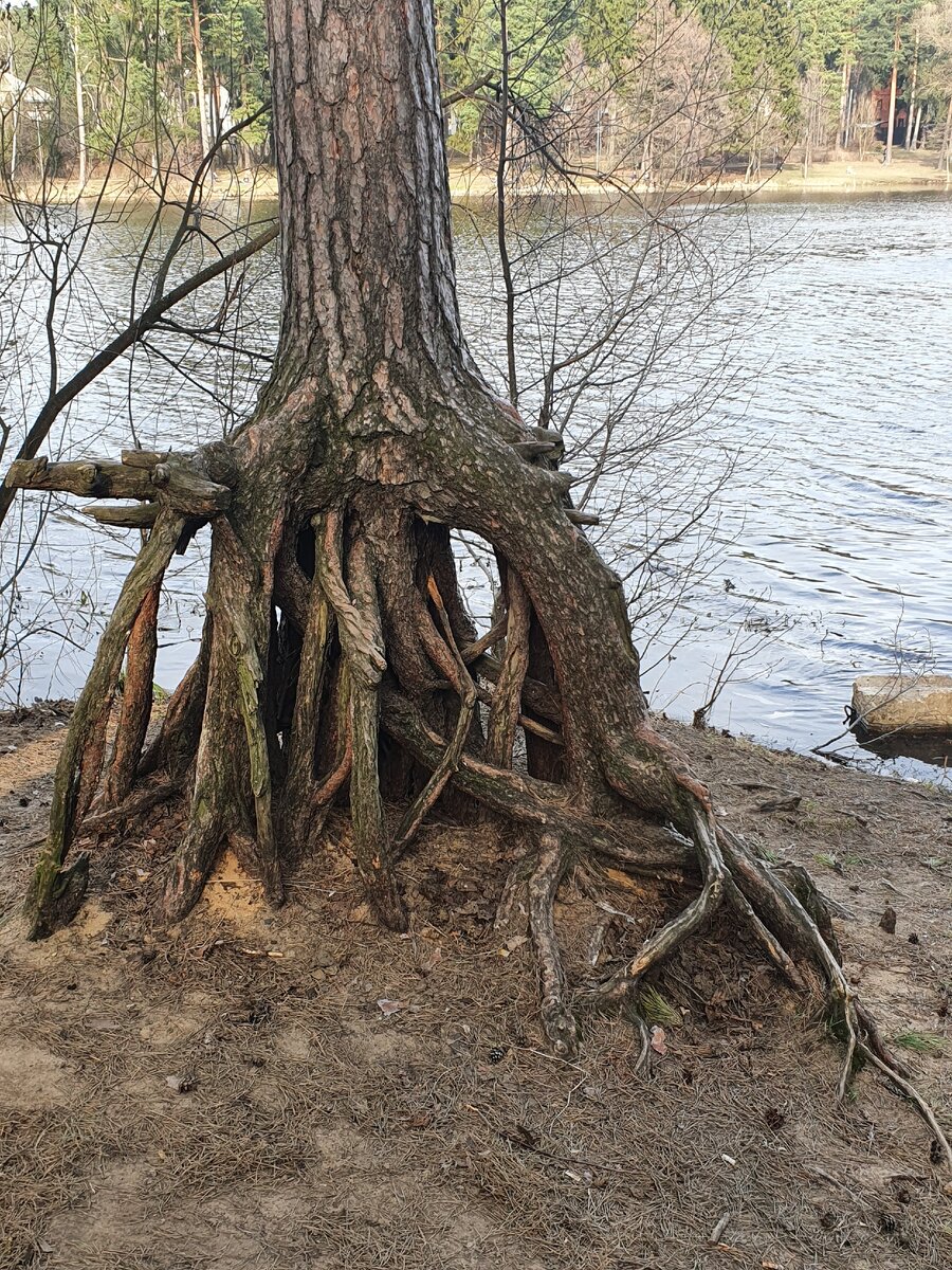 Листайте галерею (всего 15 фото)!