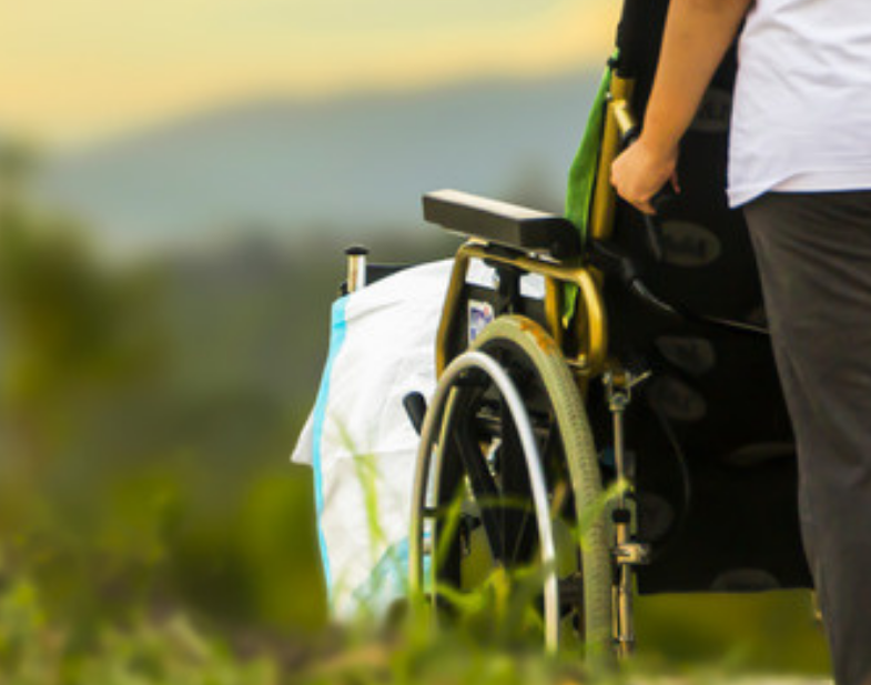 Источник фото: https://www.canva.com/