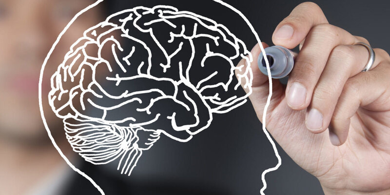 Пластичность мозга