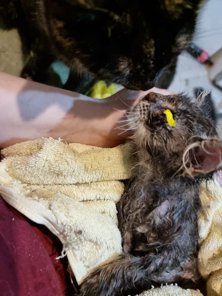 Помыла дома малыша