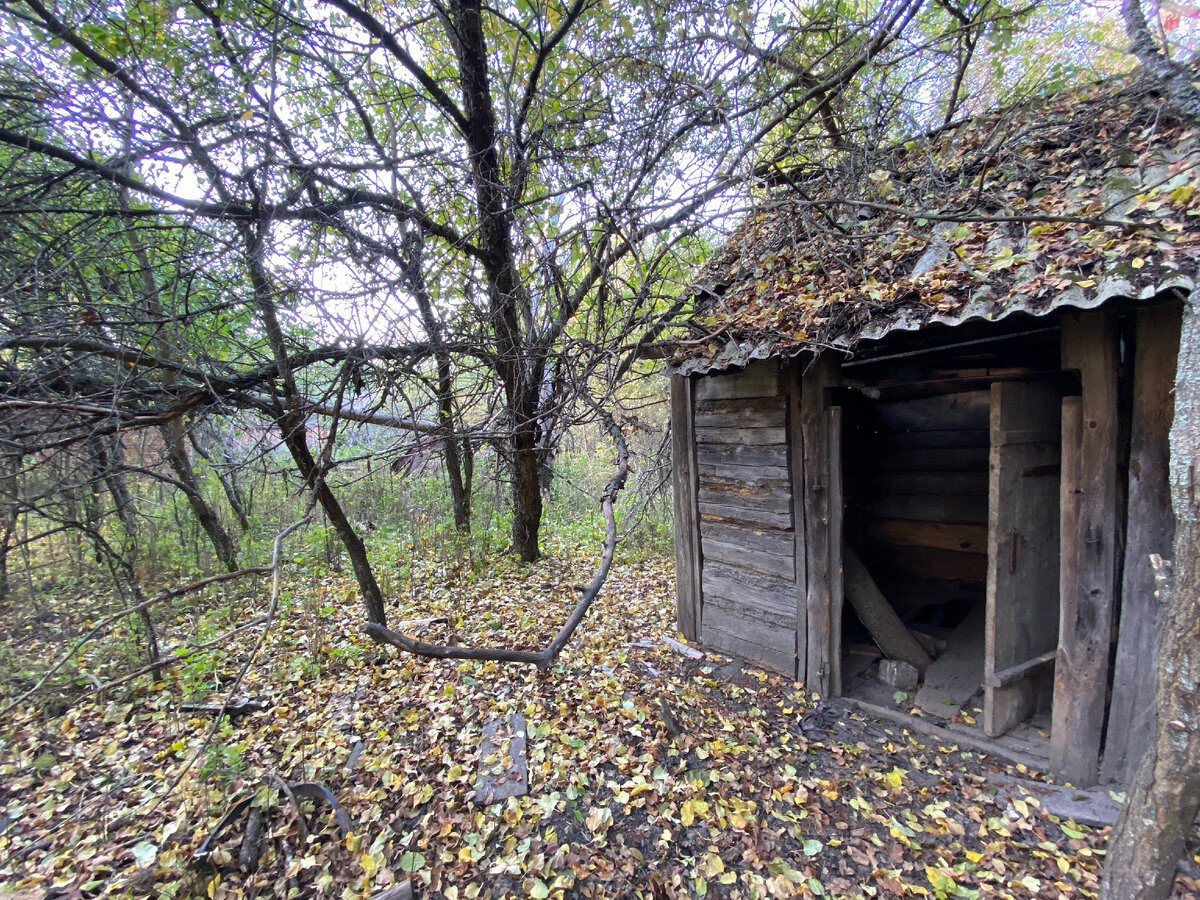 Чернобыльская зона