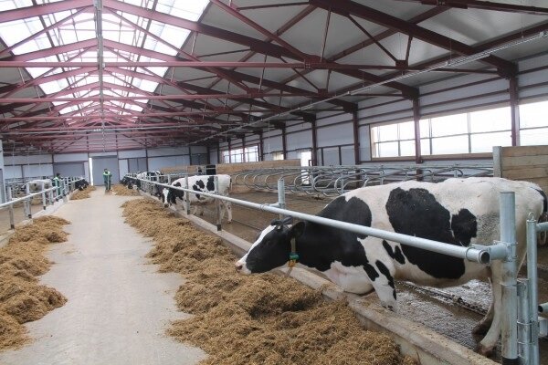 Кооровник в Новосибирске